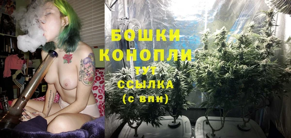 соль курить ск Новозыбков