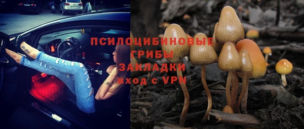 МДПВ Новокубанск