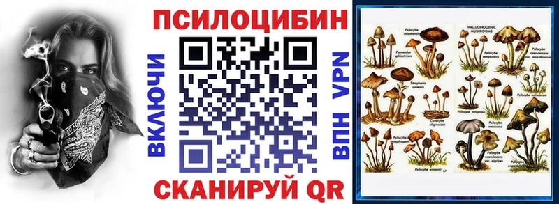 как найти закладки  Кола  Псилоцибиновые грибы мицелий 